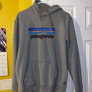 Patagonia Hoodie